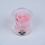 Single Rose Round - Soft Pink Rose Jadorit