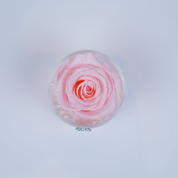 Single Rose Round - Soft Pink Rose Jadorit