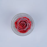 Single Rose Round - Sparkling Coral Rose Jadorit