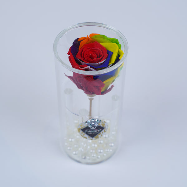 Single Rose Round Stem - Rainbow Rose Jadorit