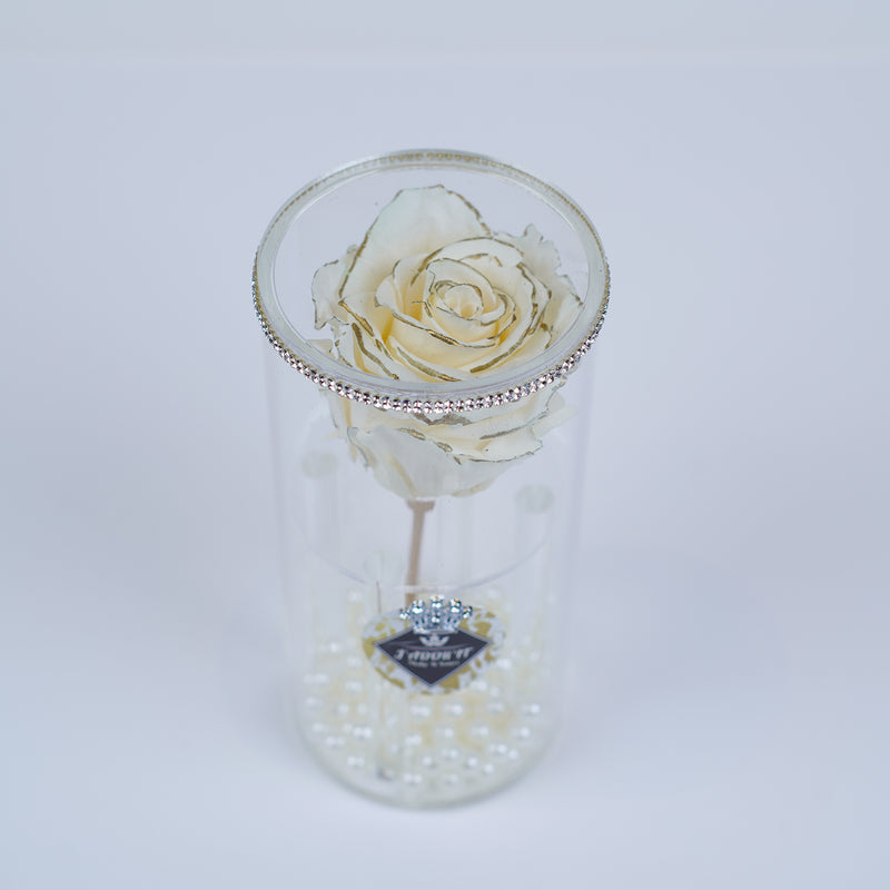 Single Rose Round Stem - Chic Crème Gold Rose Jadorit