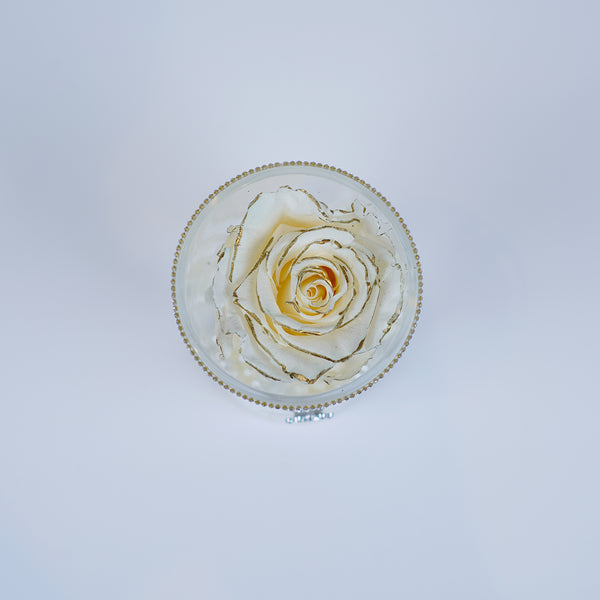 Single Rose Round Stem - Chic Crème Gold Rose Jadorit