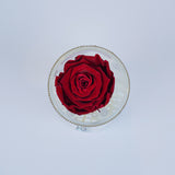 Single Rose Stem - Deep Red Rose Jadorit