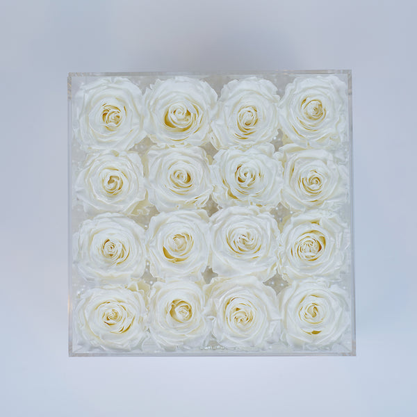 16 Rose Stem - Dove White Roses Jadorit