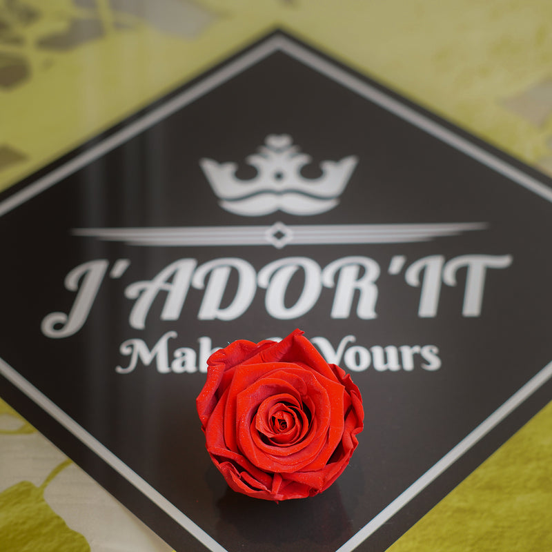 Single Rose Round - Classic Red Rose Jadorit