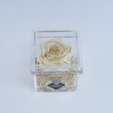 Single Rose Square - Crème Gold Rose Jadorit