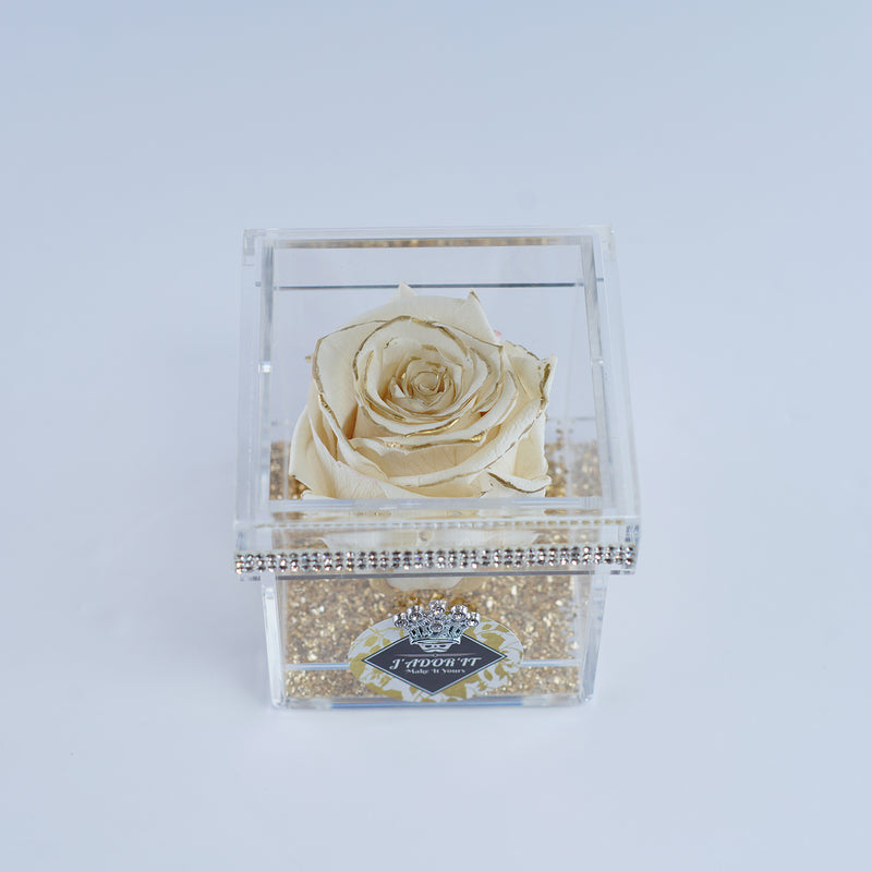 Single Rose Square - Crème Gold Rose Jadorit