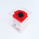 Single Deluxe Jumbo Red Rose with Black Center Jadorit