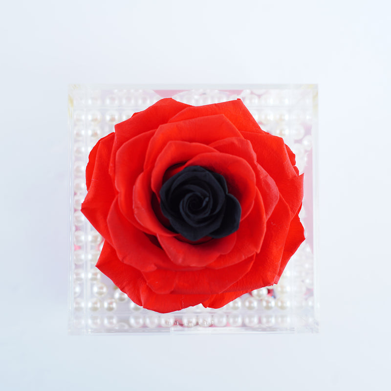 Single Deluxe Jumbo Red Rose with Black Center Jadorit