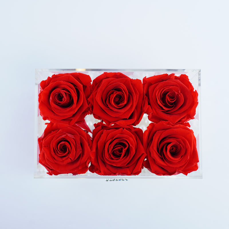 6 Rose Stem - Red Roses Jadorit