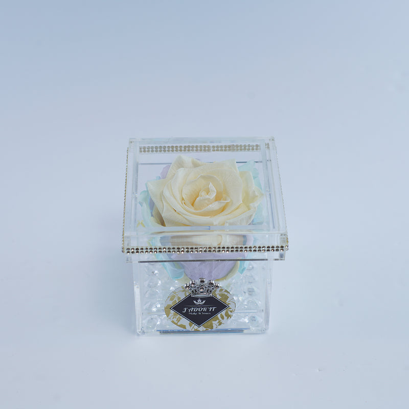 Single Rose Square - Cream Pastel Rose