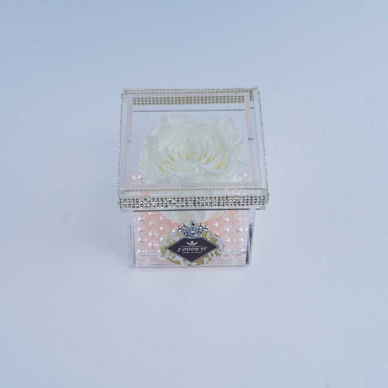 Single Rose Square - Deluxe White Garden Rose Jadorit