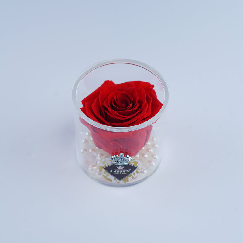 Single Rose Round - Classic Red Rose Jadorit