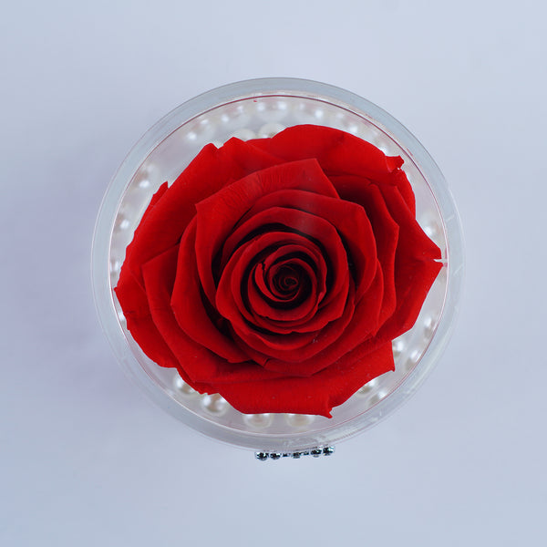 Single Rose Round - Classic Red Rose Jadorit