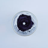 Single Rose Round - Chic Monochrome Rose Jadorit