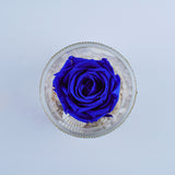 Single Rose Round - Royal Blue Ocean Rose Jadorit