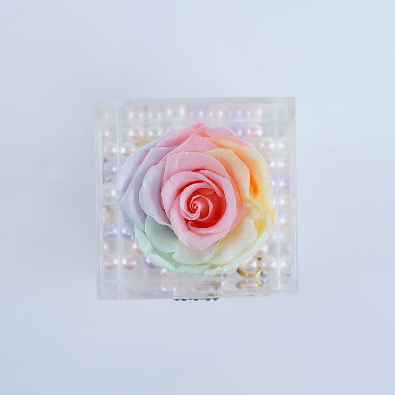 Single Rose Square with Drawer - Rainbow Pastel Rose Jadorit