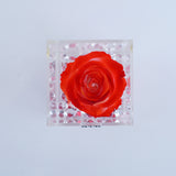 Single Rose Square with Drawer - Red Ombre Rose Jadorit