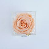 Single Rose Square with Drawer - Peach Rose Jadorit