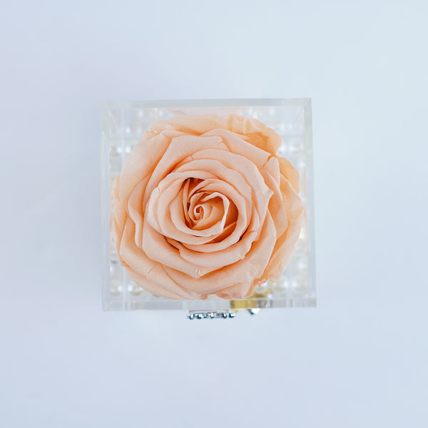 Single Rose Square with Drawer - Peach Rose Jadorit