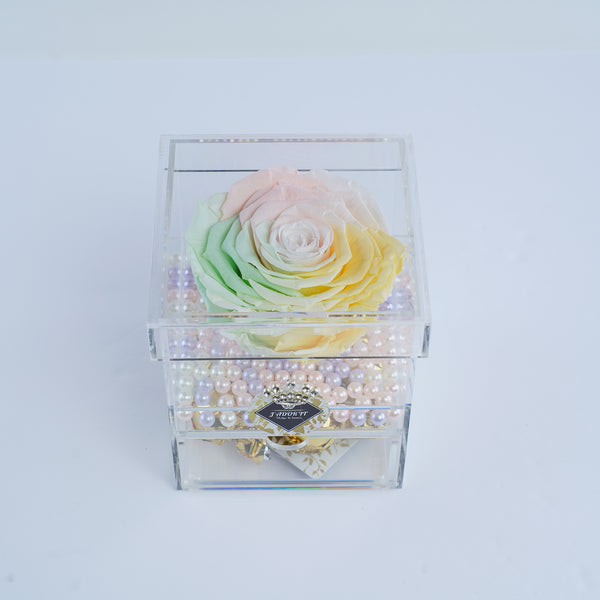 Single Jumbo Deluxe Rainbow Rose Jadorit