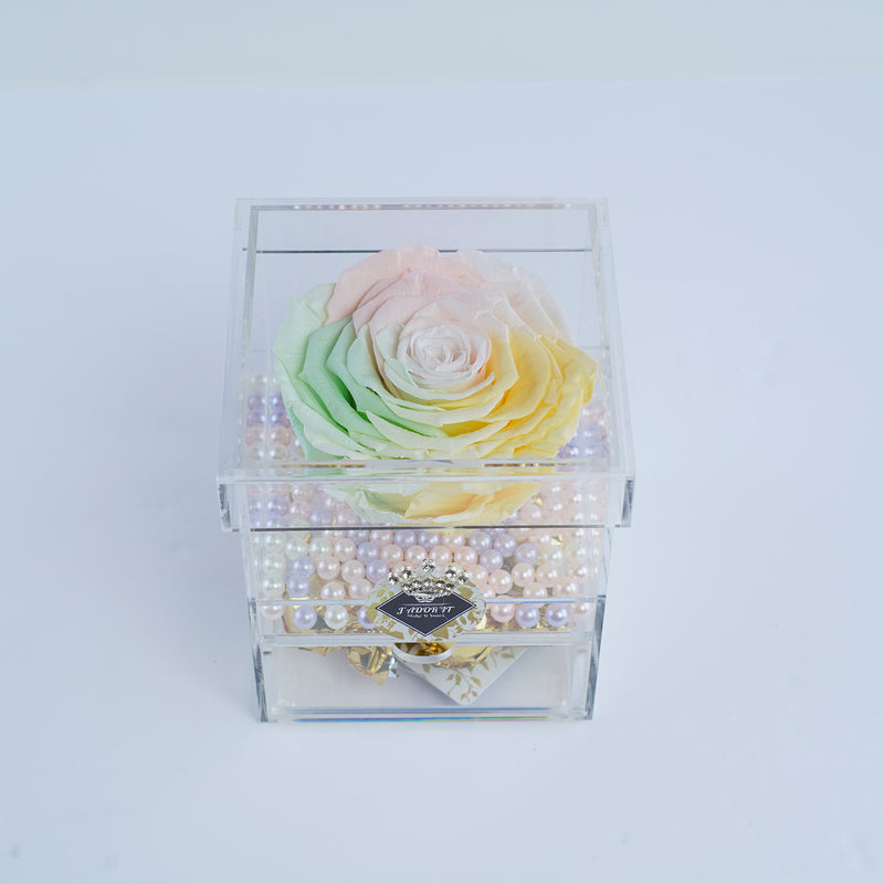 Single Jumbo Deluxe Rainbow Rose Jadorit