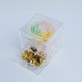 Single Jumbo Deluxe Rainbow Rose Jadorit