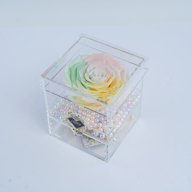 Single Jumbo Deluxe Rainbow Rose Jadorit