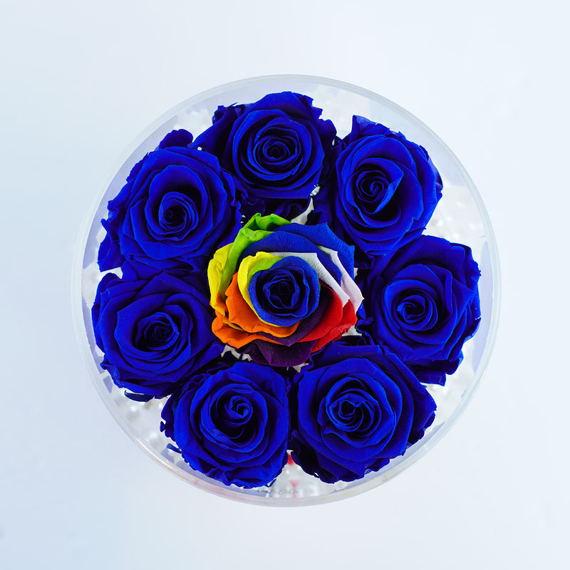 8 Rose Round with Drawer - Royal Blue Roses with Rainbow Rose Center Jadorit