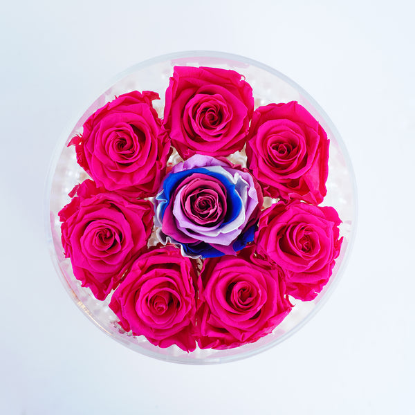 Rose Round with Drawer - Hot Pink Fuchsia Roses Jadorit