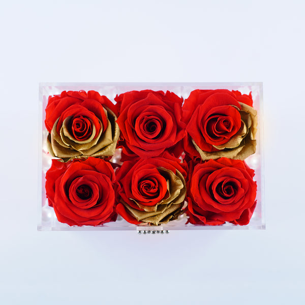 6 Rose Square with Drawer - Royal Red Roses with Gold Leaf Jadorit