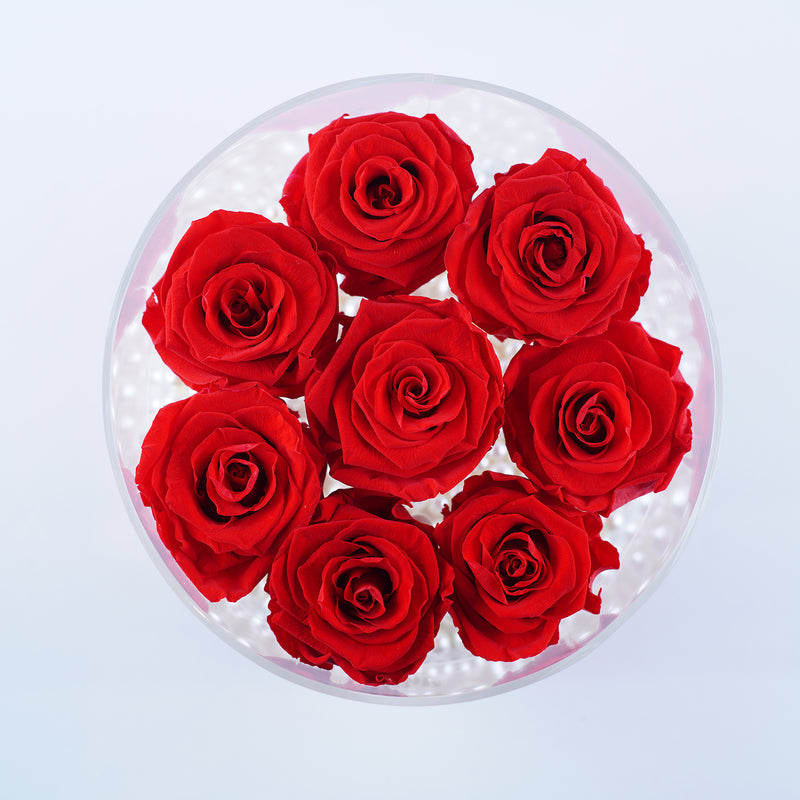  Rose Round - Romantic Red Roses Jadorit