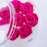 8 Rose Round - Fabulous Fuchsia Roses Jadorit