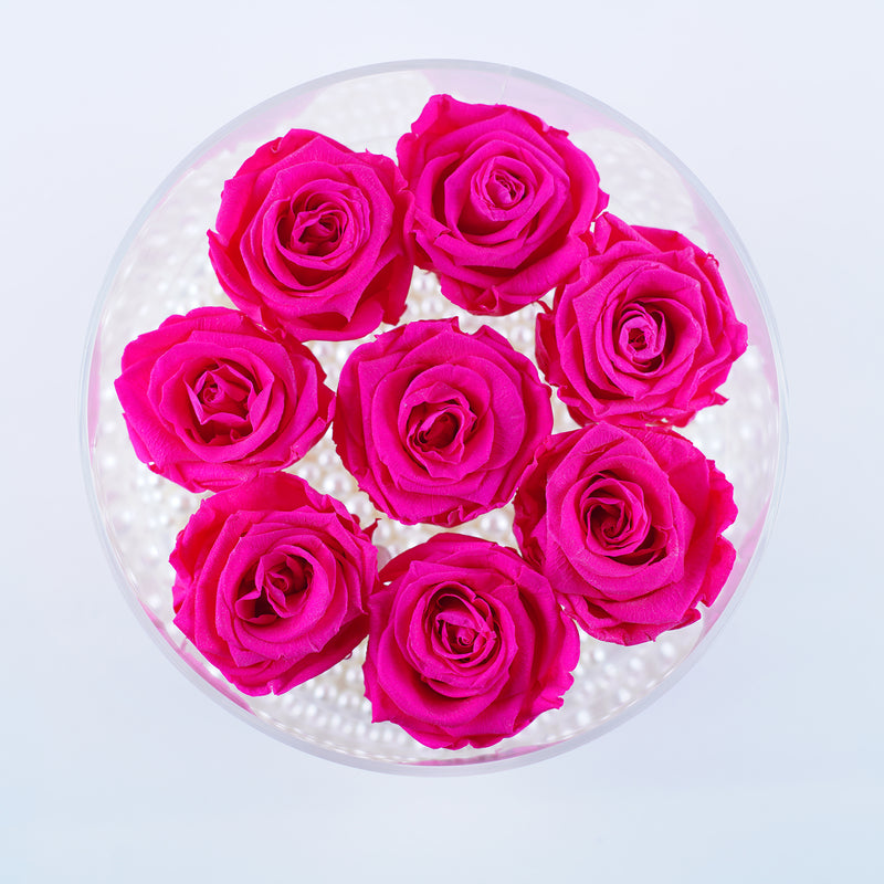 8 Rose Round - Fabulous Fuchsia Roses Jadorit