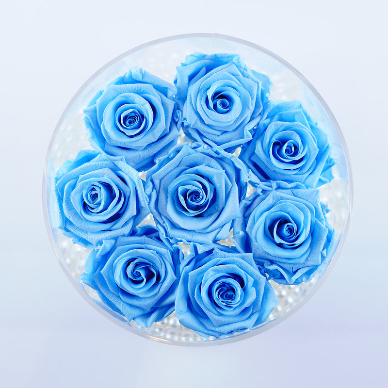 8 Rose Round - Azure Cornflower Blue Roses Jadorit