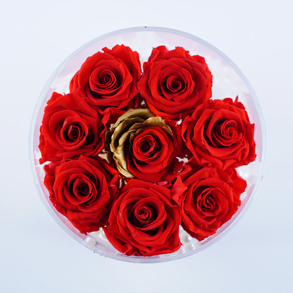 8 Rose Round with Drawer - Red Roses with Gold Leaf Jadorit