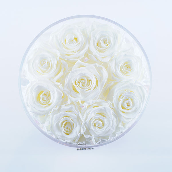 9 Rose Round Stem- Off White Roses Jadorit