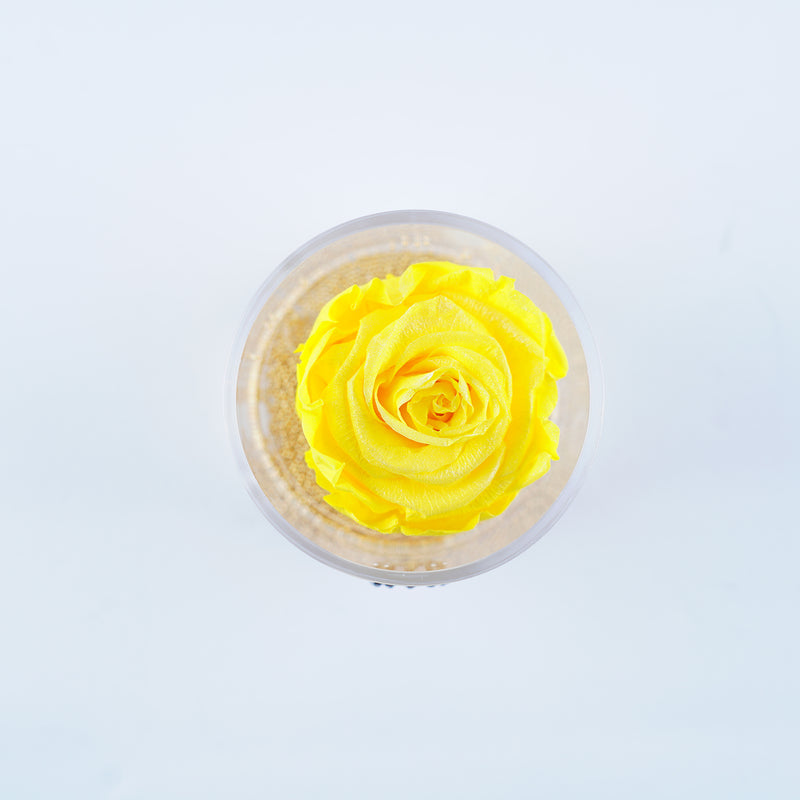 Single Rose Round - Sunshine Shimmer Yellow Rose Jadorit