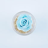 Single Rose Round - Light Blue Shimmer Rose Jadorit