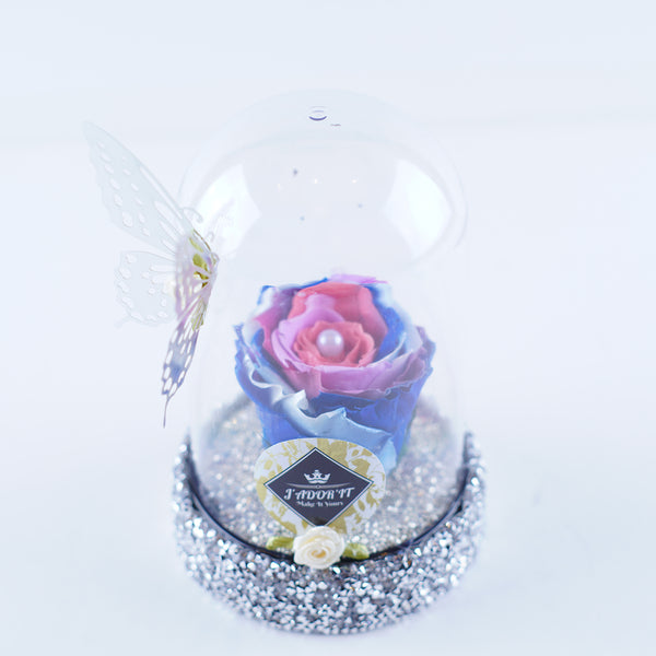 Single Rose Dome - Purple Rainbow Rose Jadorit